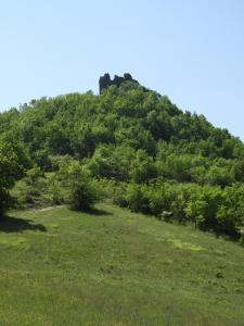 Pietra Corva - Monticello Apartments