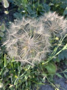Maisons d'hotes BARMADZA Mazots de Charme : photos des chambres