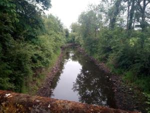 Tranquil rural cottage