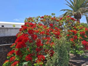 Loma Verde Puerto del Carmen