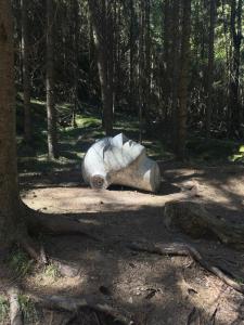 Family house near Kvitfjell & Hunderfossen