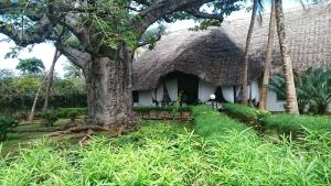 Villa con baobab e piscina