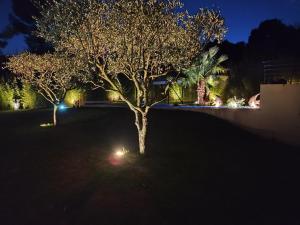Villas Chamarte villa piscine chauffees jardin cloture Aix en Provence : photos des chambres