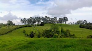 Finca Mi Paraíso. Acogedora casa de campo a 5 minutos de Salento