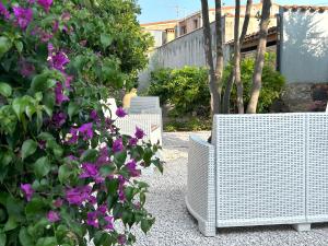 Laraucaria Le Camere