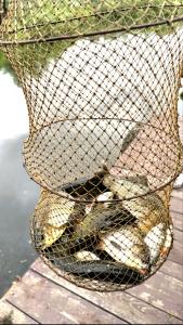 Дом с причалом Беляевка Отдых,Рыбалка