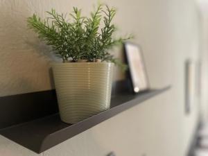 Villa Kalimera Apartment