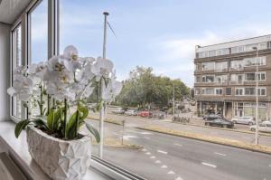 Blijdorp appartment Rotterdam