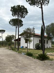 Masseria I Pini