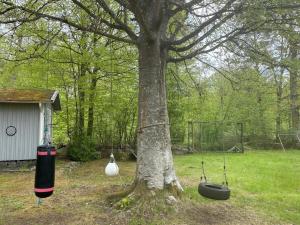 6 person holiday home in RONNEBY-By Traum