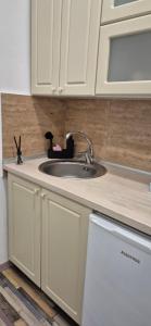 Grand Plaza Iedera 3 apartment