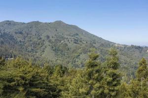 Idyllic Mill Valley cottage next to Muir Woods