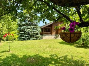 Pine River Dobrenica - Private 4000 m2 Riverside Estate - 3hvězdičkové hotely ve městě Bihać