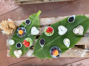 Forest & Sea Campsite