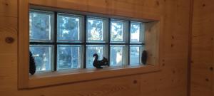 Chalets Chalet-nature : photos des chambres