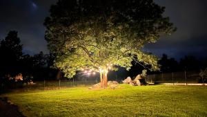 Apartamenty Karkonoska Dolina