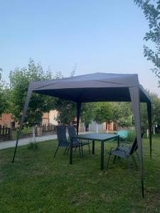 Kuca za odmor-Tisa Hideaway