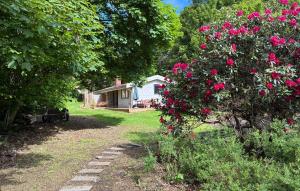 Awesome Home In Gilleleje With Wifi