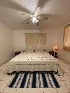 Beachfront house with pool