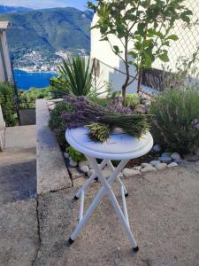 Sea & Silence Holiday House