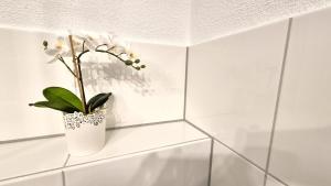 Nova Freiburg Dunantstraße