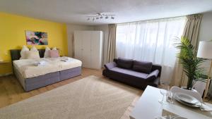 Nova Freiburg Dunantstraße