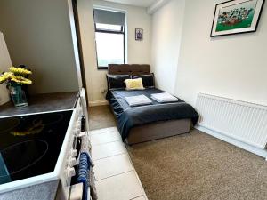 Unique Modern, Private Apartment,15 Mins To Central London