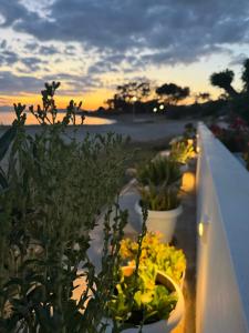 Thalassa Luxury Apartments Nea Styra