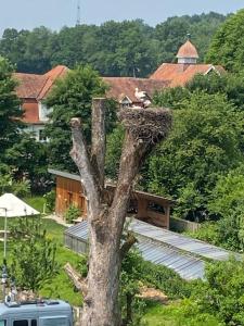 Luxuriöses Apartment im historischen Wangen