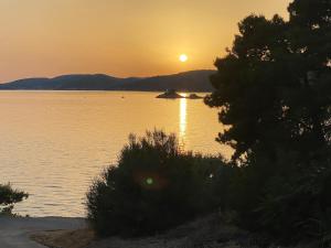 Apartments vila Celice - Jugo Okrug Donji