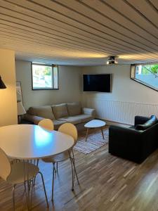 Newly renovated recreation room in Lomma