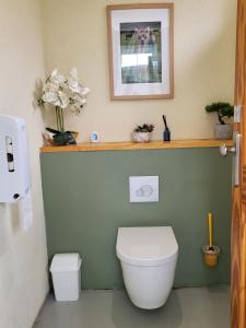 Alpaca view emperor bell tent