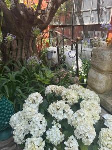 B&B / Chambres d'hotes Villa Romana : photos des chambres