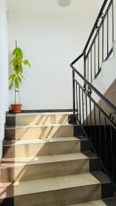 ASTORIA II Apartment 23 One Bedroom