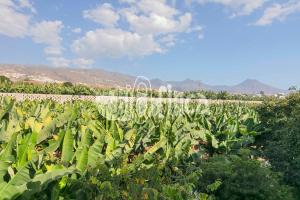 Villa Bio Finca With Pool
