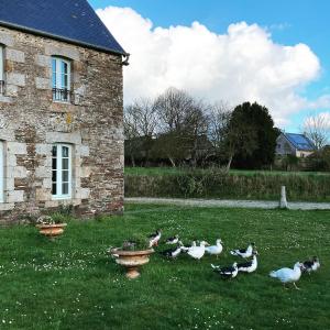 B&B / Chambres d'hotes La Vieille Foulonniere : Chambres d'hotes & Permaculture : photos des chambres