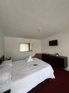 Comfortable room