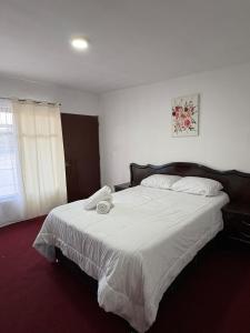 Comfortable room