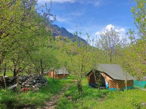 Discover Himalaya Camps