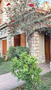 Casa Criselo Multiespacio