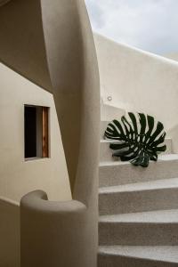 Apartamento Centro Historico Santa Marta