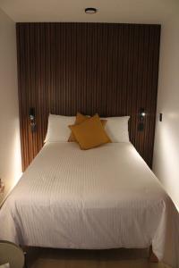 Coliving Roma Norte Loft Garza