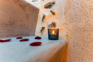 Appartements La Voute Etoilee - Jacuzzi proche Disneyland Paris : Appartement 1 Chambre
