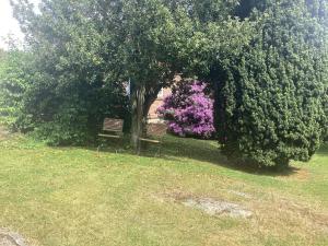 4 person holiday home in STENINGE