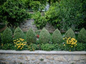 Apartments & Rooms Green Bay - Two Bedroom Apartment with Balcony and Sea View APP 7