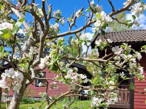 4 star holiday home in NORRTÄLJE