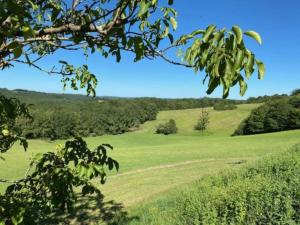 Maisons de vacances Estate in Dordogne near Sites, cleaning included : photos des chambres
