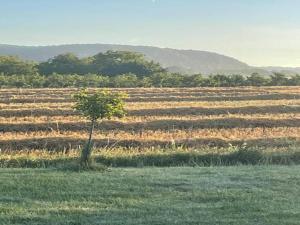 Maisons de vacances Cozy Cottage Retreat in Vezac, cleaning included : photos des chambres