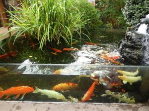 Maisons de vacances Cozy Cottage Retreat in Vezac, cleaning included : photos des chambres