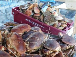 Maisons de vacances Stone House in Brittany near Scenic Bay, cleaning included : photos des chambres
